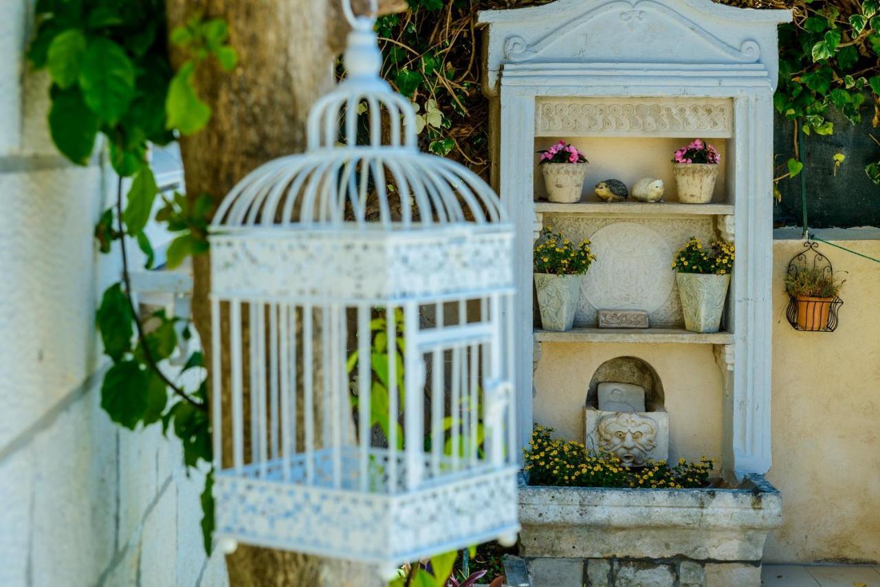 Villa Ida Dubrovnik Extérieur photo